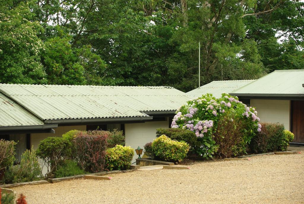 Blackheath Motor Inn المظهر الخارجي الصورة