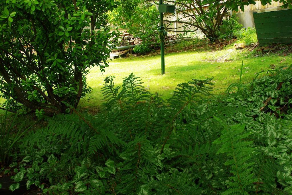 Blackheath Motor Inn المظهر الخارجي الصورة